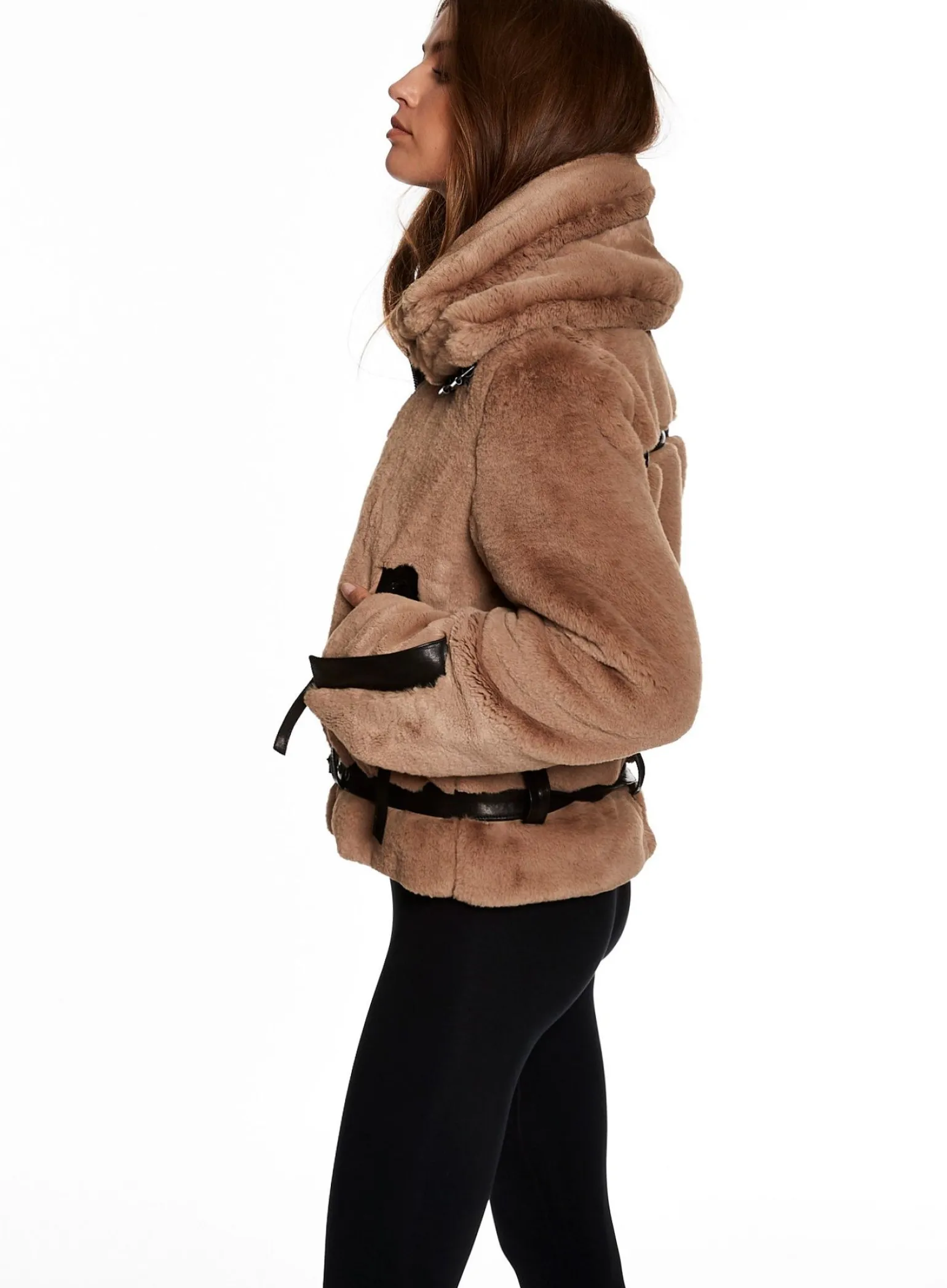 penelope_11.webp Penelope