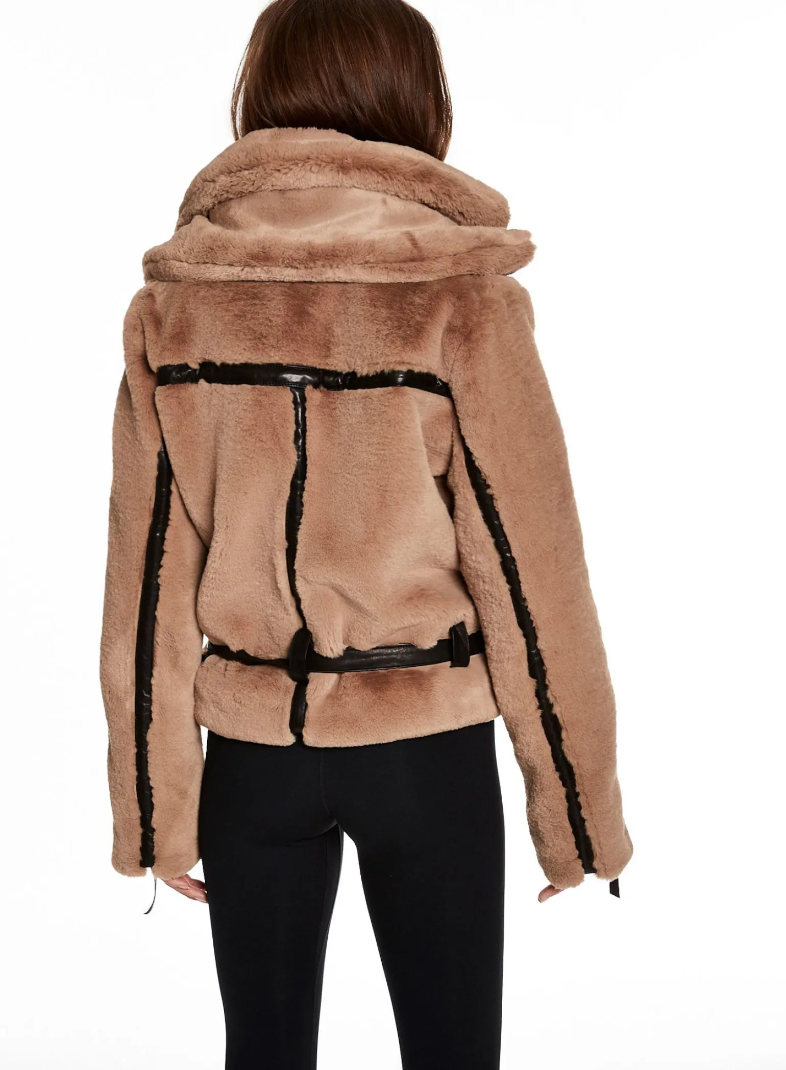 penelope_12.webp Penelope