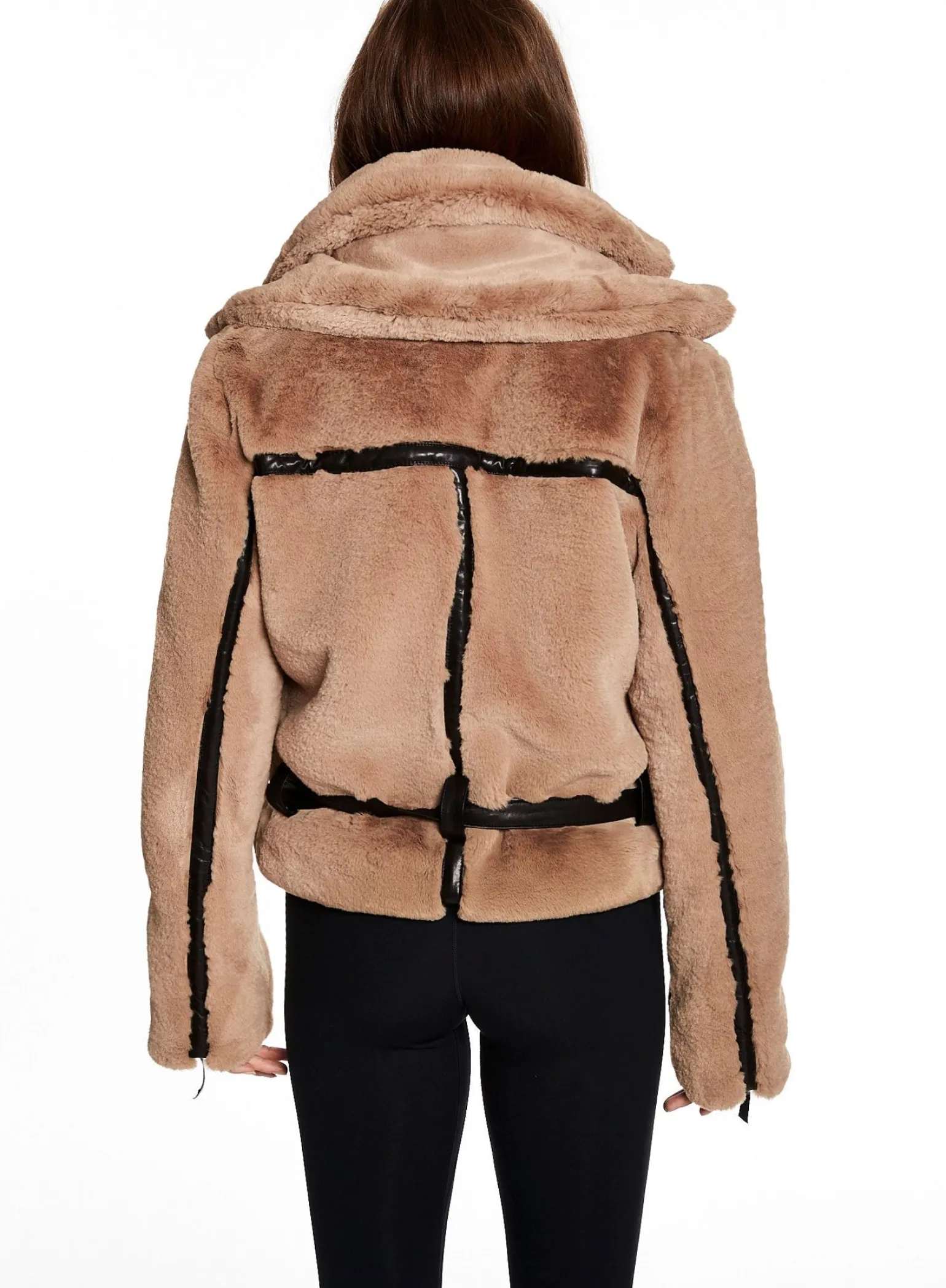 penelope_13.webp Penelope