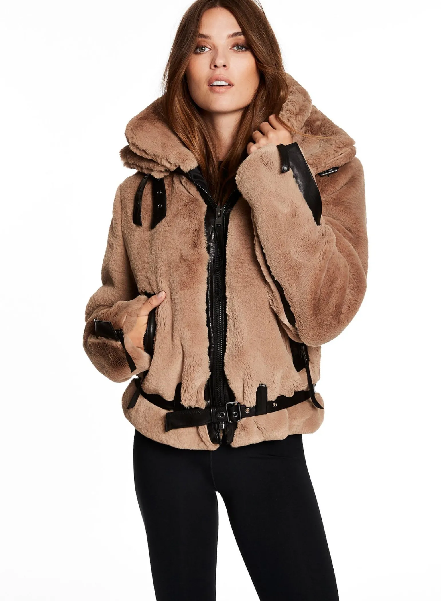 penelope_2.webp Penelope