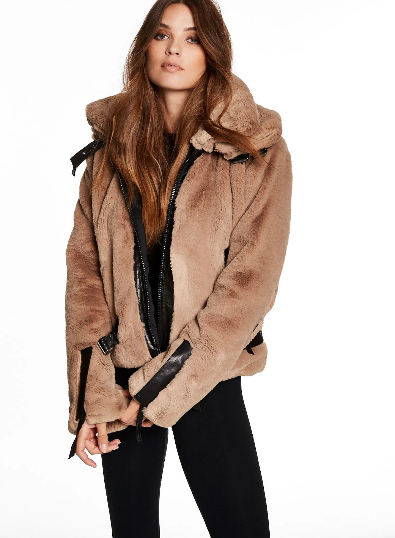 penelope_3.webp Penelope