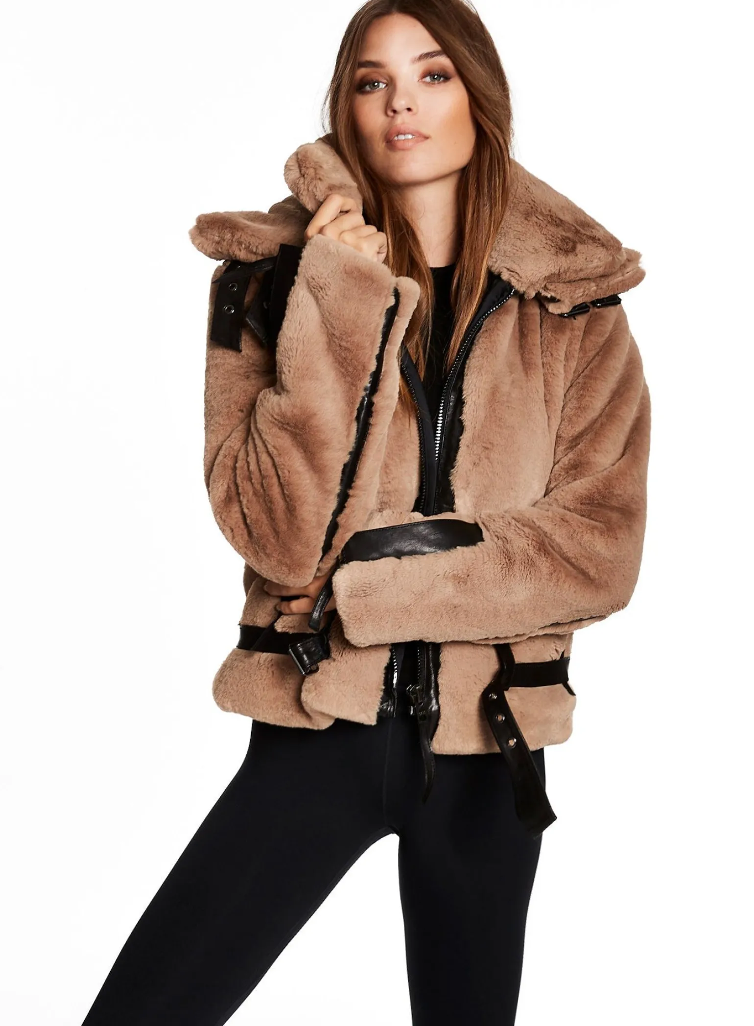 penelope_6.webp Penelope