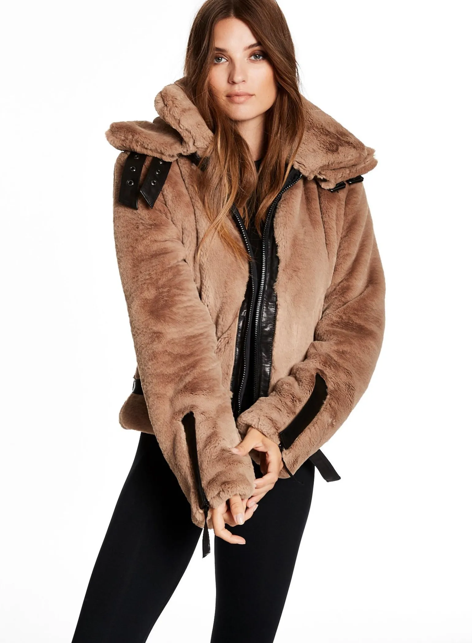 penelope_7.webp Penelope