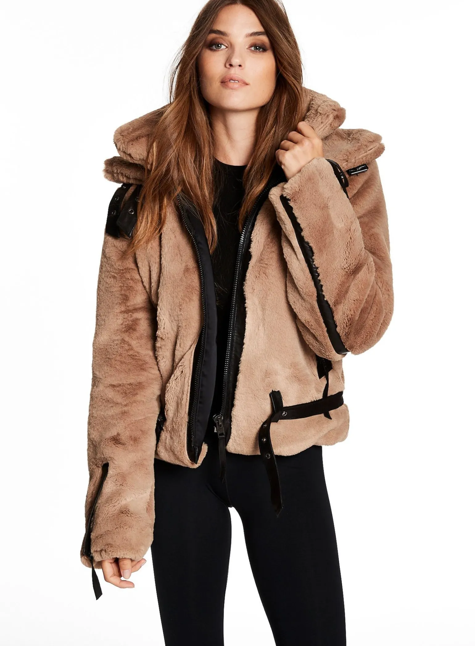 penelope_8.webp Penelope